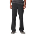 Dickies Regular Twill Skate Pants - Black 2025