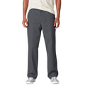 Dickies Regular Twill Skate Pants - Charcoal 2025