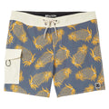 Brixton Classic 17" Boardshorts - Future Grey/Golden Pineapple