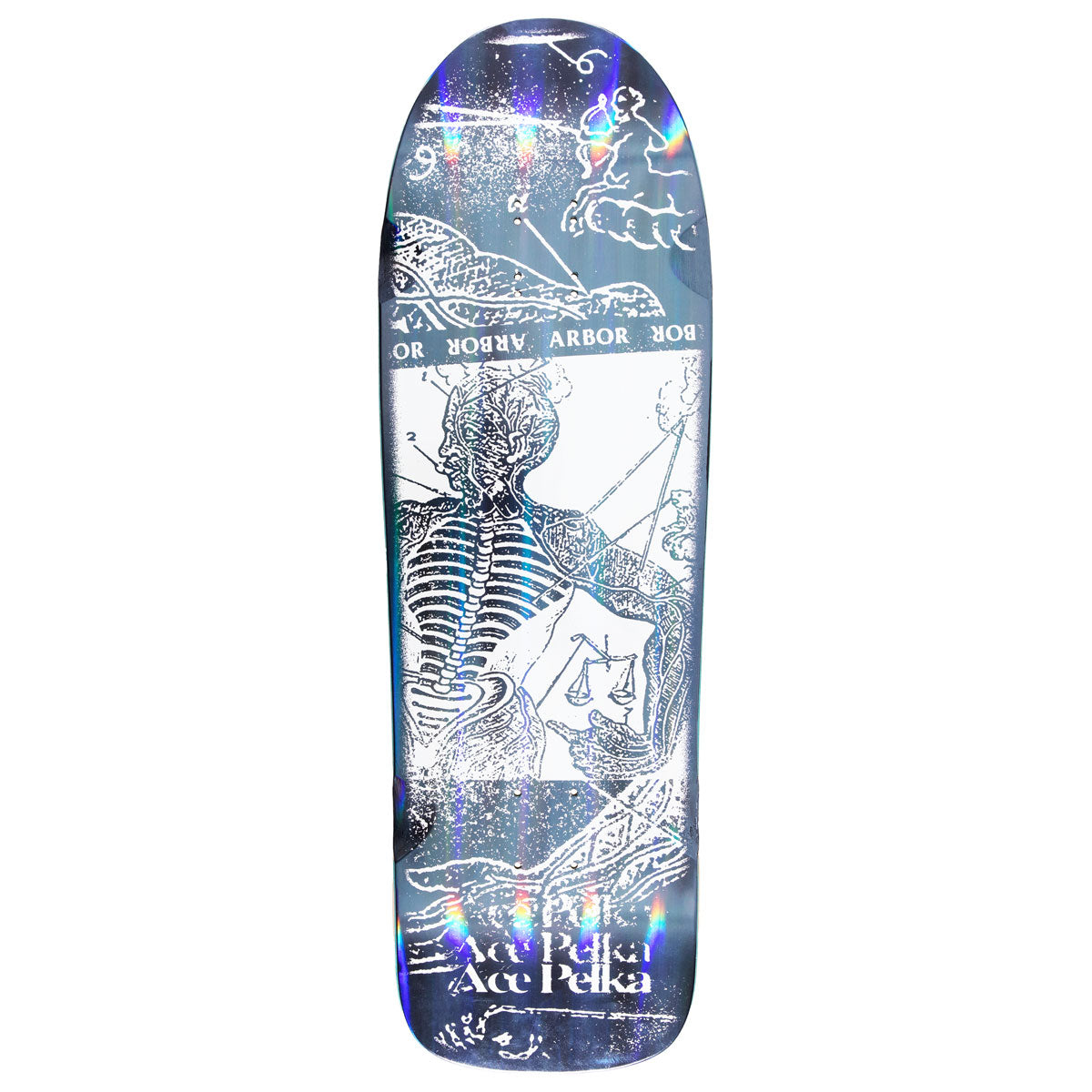 Arbor Ace Pelka Anatomy Skateboard Deck - 9.75"