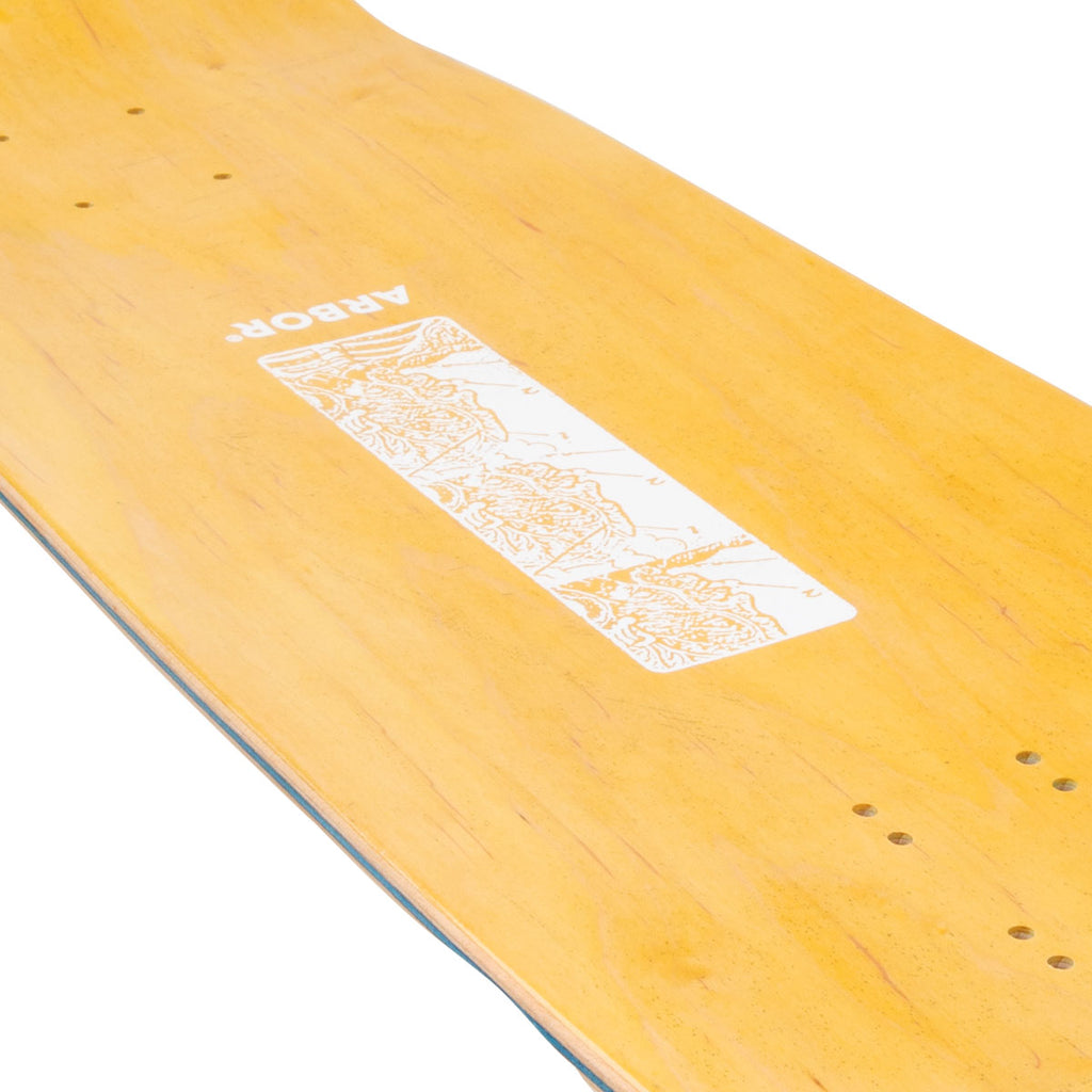 Arbor Ace Pelka Anatomy Skateboard Deck - 9.75"