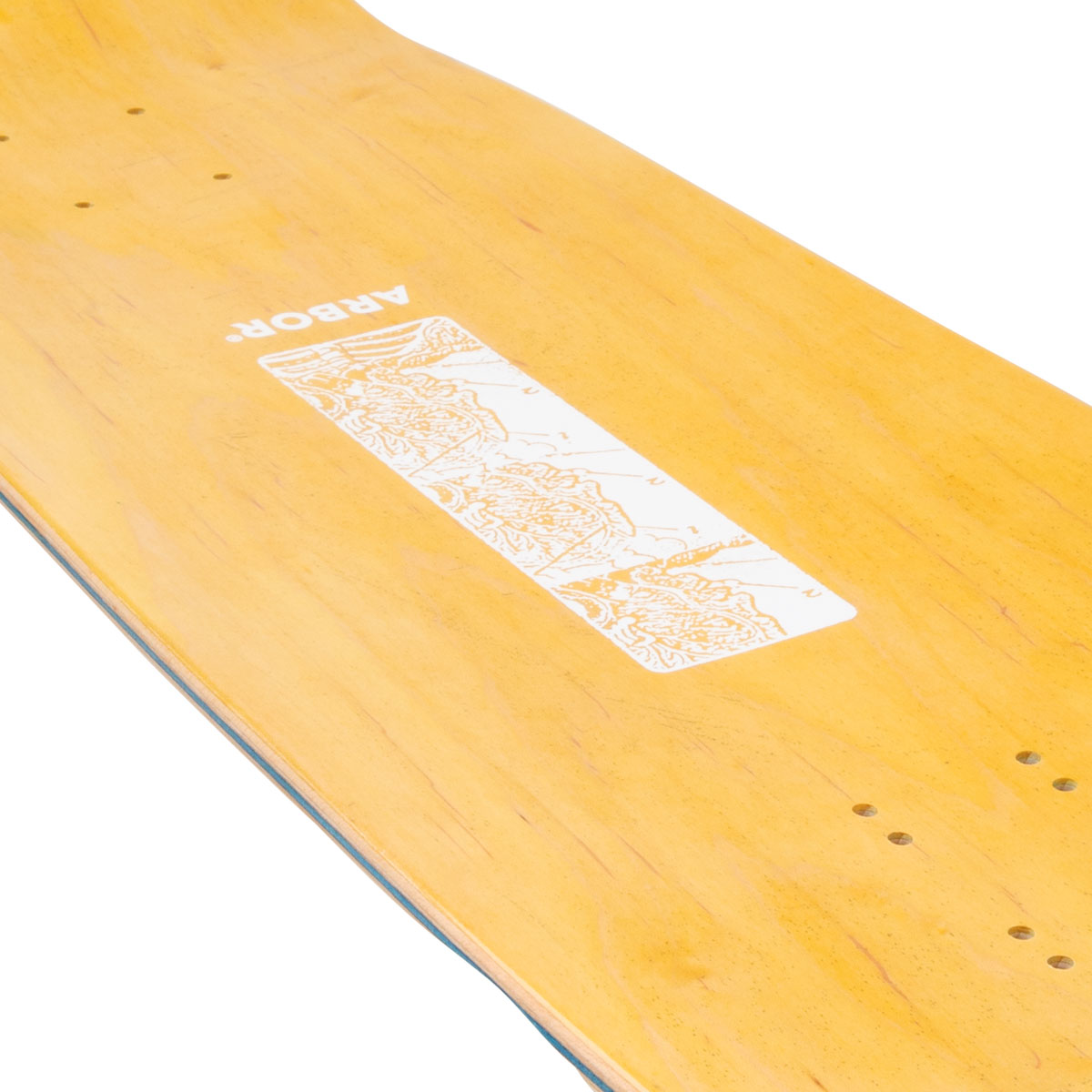 Arbor Ace Pelka Anatomy Skateboard Deck - 9.75"