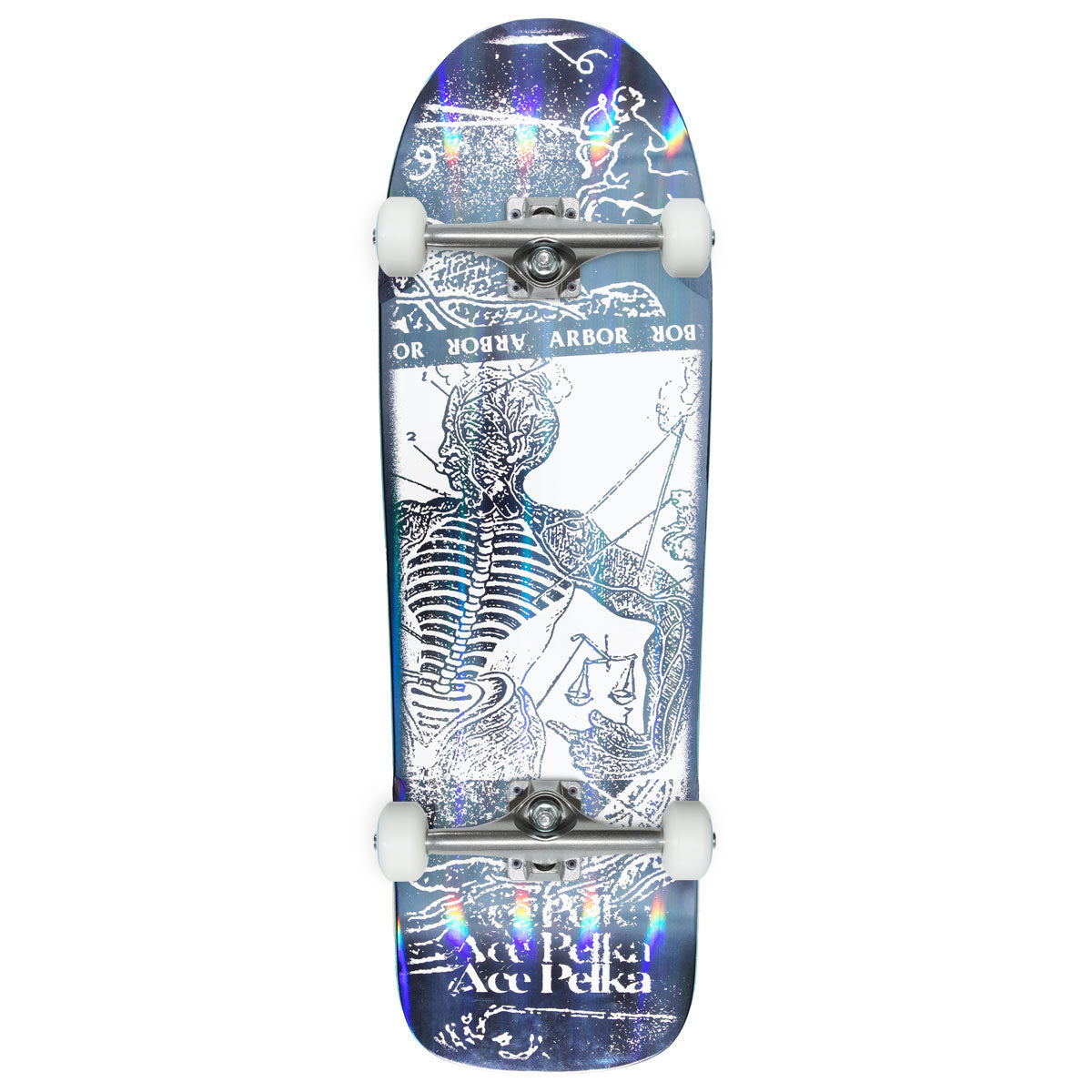 Arbor Ace Pelka Anatomy Skateboard Complete - 9.75"