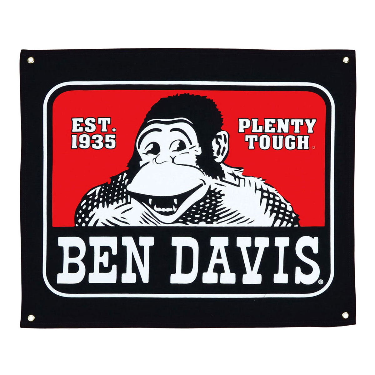 Ben Davis Classic Logo Banner
