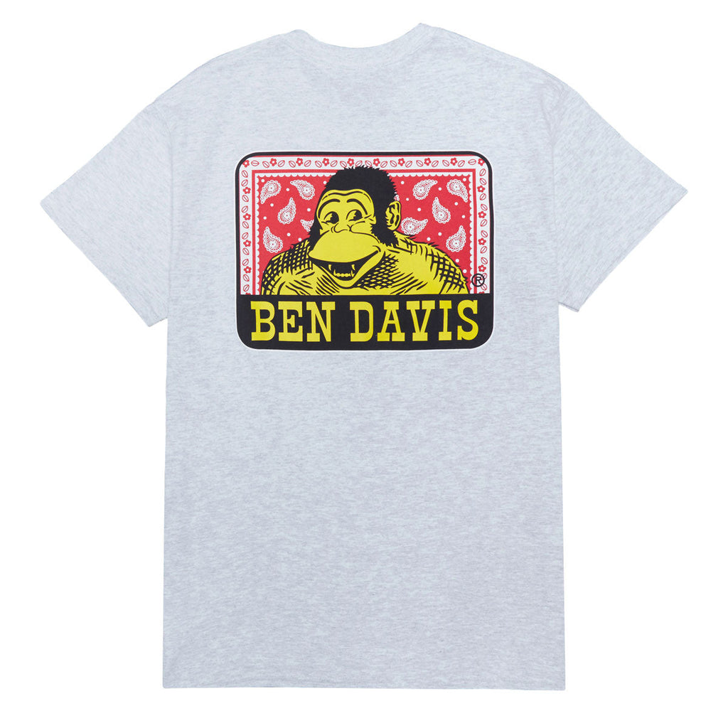 Ben Davis Paisley Logo T-Shirt - Ash Grey