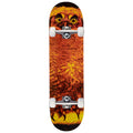 Jacuzzi Unlimited Michael Pulizzi Hoo EX7 Skateboard Complete - 8.375"