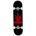 Jacuzzi Unlimited Weedstar EX7 Skateboard Complete - Black/Red - 8.50"