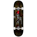 Powell-Peralta Flight Zach Doelling Archer Skateboard Complete - 8.30"