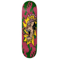 Baker Zach Allen Cactus Eaters Skateboard Deck - 8.25"