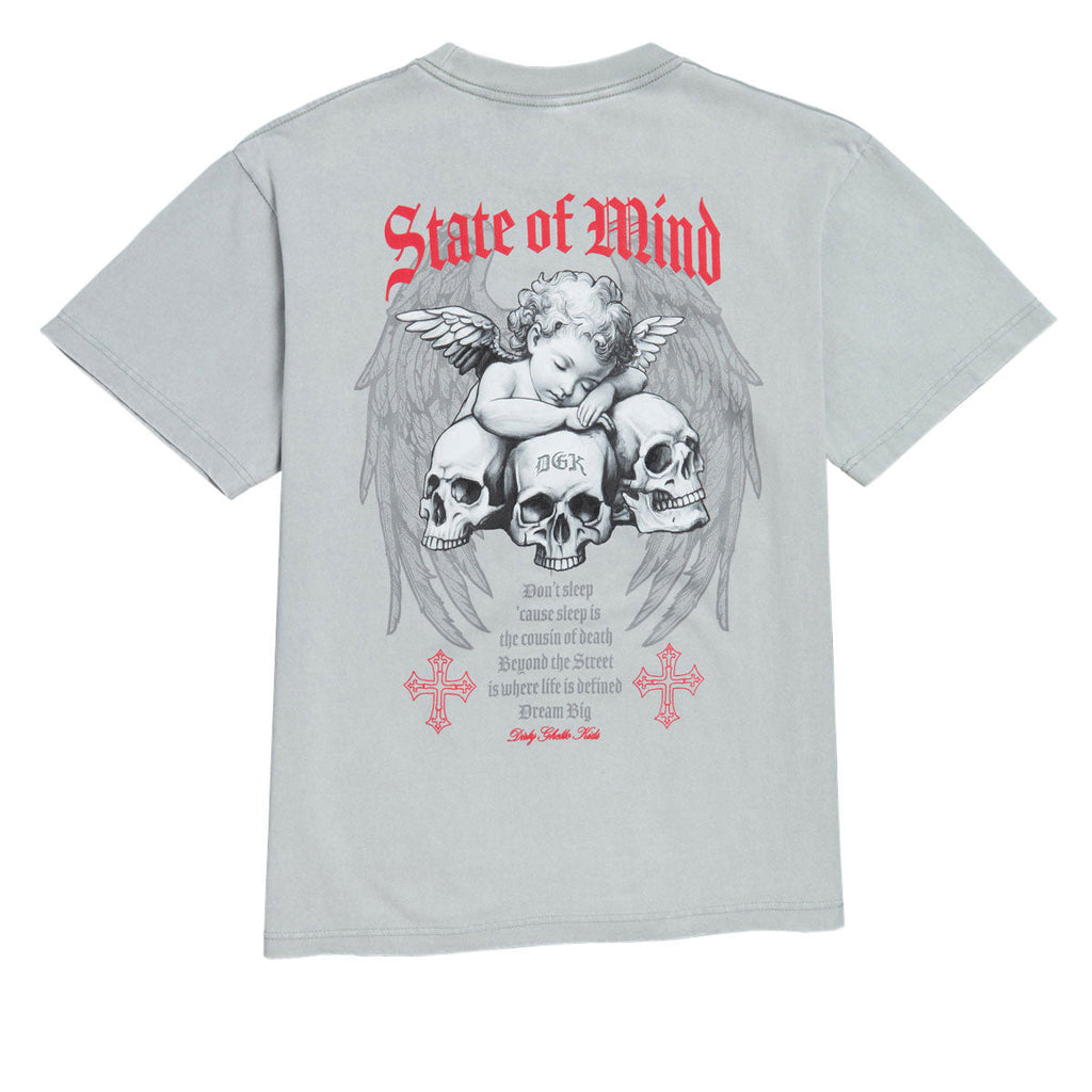 DGK Angelic Boxy T-Shirt - Vintage Silver