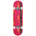 Quasi Hex QE Skateboard Complete - 8.125"