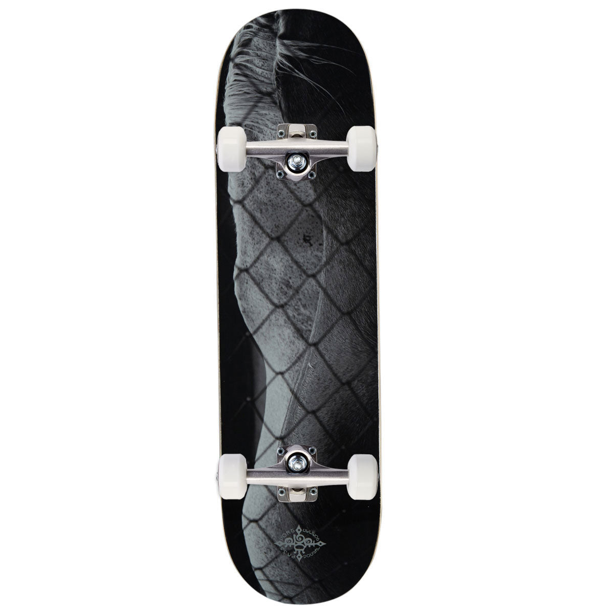 Passport D.G Series Steed Skateboard Complete - 8.50"