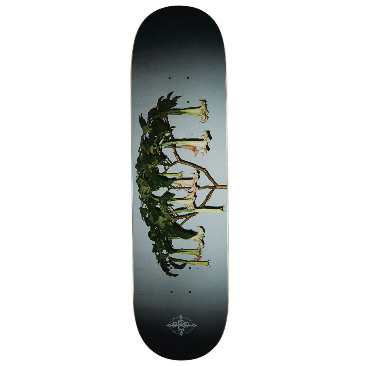 Passport D.G Series Angel Trumpets Skateboard Deck - 8.50"