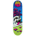 DGK Not Lost Skateboard Deck - Pearlescent - 8.25"