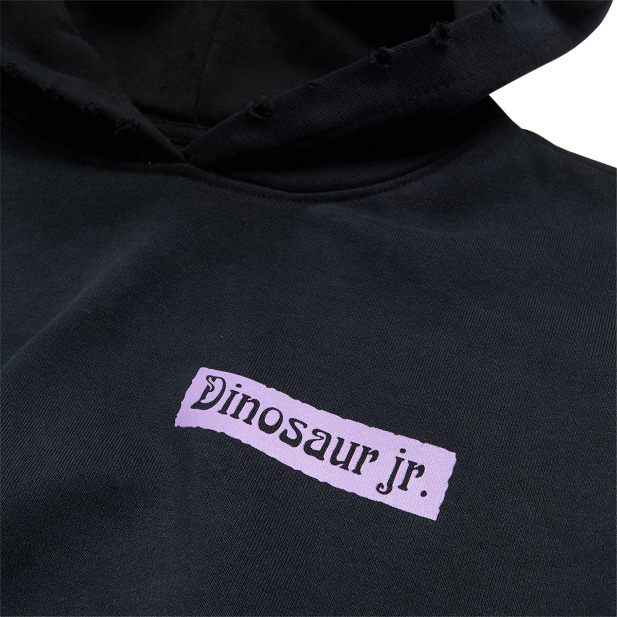 Color Bars x Dinosaur Jr Weirdness Hoodie - Potassium Black