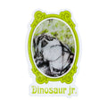 Color Bars x Dinosaur Jr All Over Me Sticker
