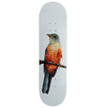 Deathwish Yuri Sabia-Laranjeira Facchini Skateboard Deck - 8.125"