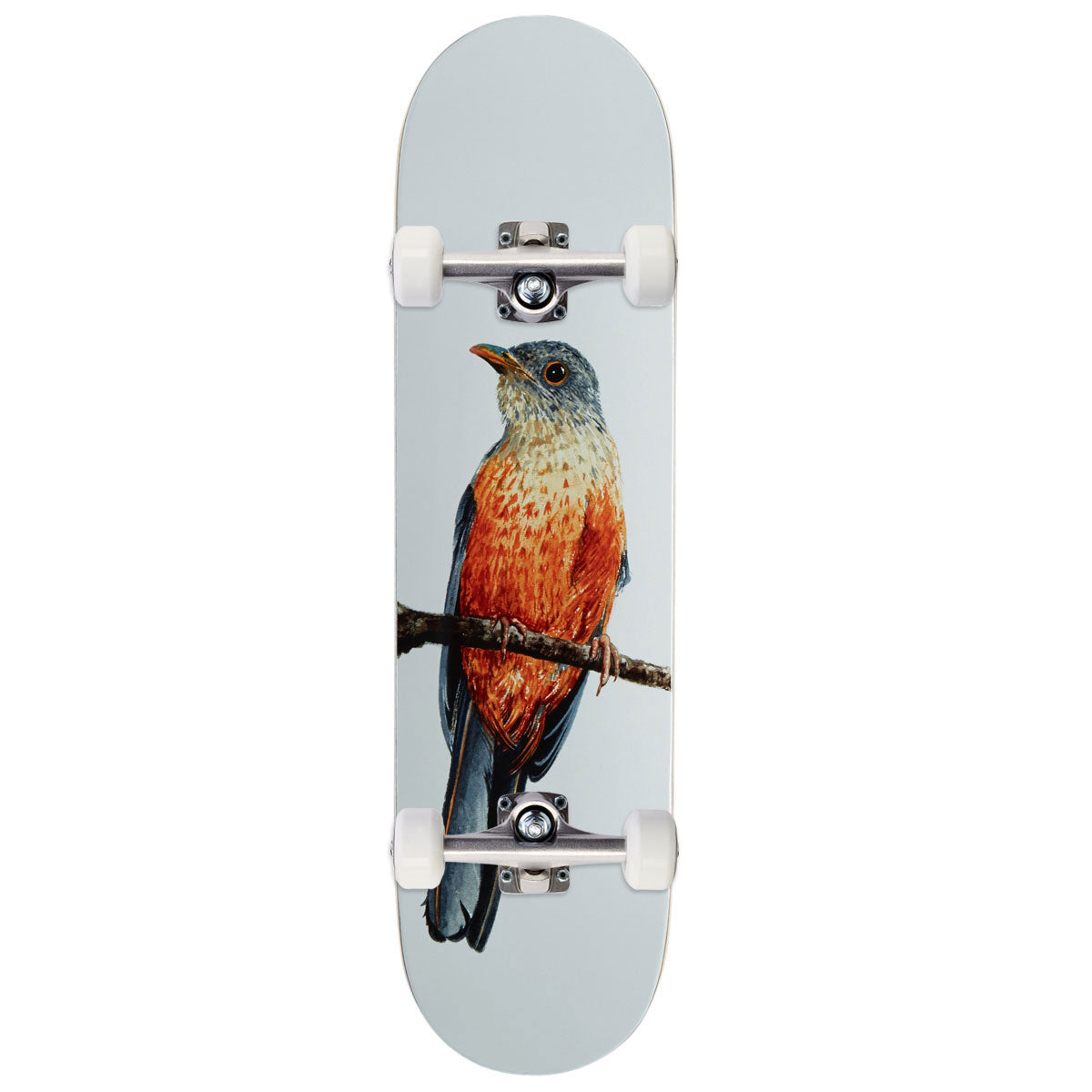 Deathwish Yuri Sabia-Laranjeira Facchini Skateboard Complete - 8.125"