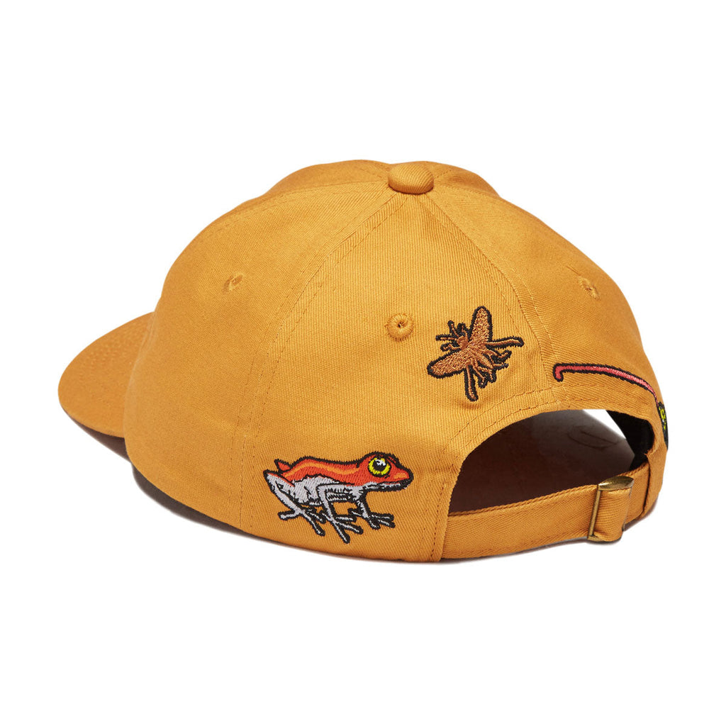 Snack Poisonous Darts Hat - Gold