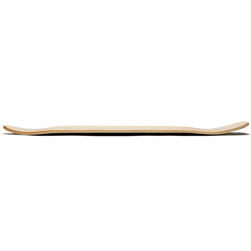 Rout Palms Cruiser Skateboard Complete