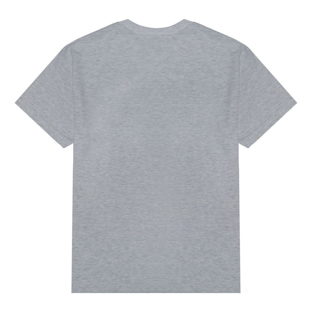 Alien Workshop Spectrum T-Shirt - Heather Grey