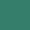 CCS Icon Snapback Hat - Green/Brown