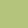 Butter Goods Warped T-Shirt - Pistachio