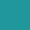 Santa Cruz Wave Dot Beach Umbrella - Teal