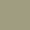 Rhythm Panel Stripe Beach Shorts - Olive